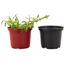 porcelana Galón extra grande PP Plástico negro Anti-UV Árboles forestales Flores Macetas para plantas al aire libre en venta fabricante