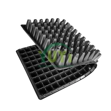 China Durable 50 72 105 128 200 288 Holes Black PS Plastic Garden Starter Plant Tray for Growing Seedlings manufacturer