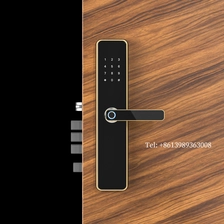 China Smart tuya ttlock App digital wifi biometric fingerprint door lock manufacturer