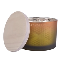 China Sunny glassware luxury matte Glass candle holder with wood lid manufacturer