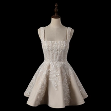 Chiny szampan bez pleców A-Line Lace Slip Krótka suknia ślubna producent