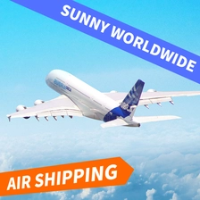 China Swwls Günstige Luftfracht-DDP-Logistik von China nach Belgien, Air Express DDP-Versandservice, Spediteur Frachtwächterin