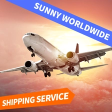 China Swwls Günstige Luftfracht-DDP-Logistik von China nach Tschechien, Air Express DDP-Versandservice, Spediteur Frachtwächterin