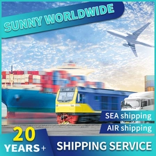 Chiny Swwls Tani transport lotniczy DDP Logistics z Chin do Danii Usługa wysyłkowa Air Express DDP Spedytor napastnik frachtu