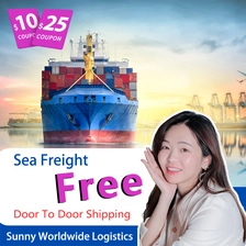 porcelana Desde Guangzhou Shenzhen a Alemania DDU DDP Transporte marítimo Servicio de logística de envío reenvío de carga