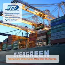 China Local freight forwarder from shenzhen to France sea freight ocean cargo freight rates freight forwarder