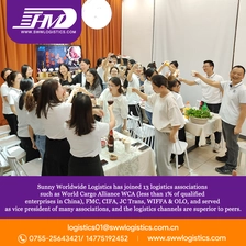 中国 Swwls DDP DDU LCL DHL UPS 空运门到门货运代理货运代理中国到新加坡 货运代理