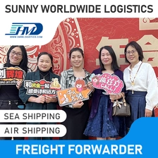 China SWWLS DDP DDU LCL DHL UPS Express Door to Door Shipping Ejen Pengangkut Freight China ke Jerman Freight Forwarder