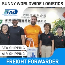 China SWWLS Pintu murah ke pintu DDP Penghantaran Agen Penghantaran Ekspres LCL LCL China Worldwide Logistik Service ke Belanda Freight Forwarder