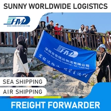 China Swwls barato porta a porta DDP transporte aéreo taxa de agente de transporte expresso LCL China serviço logístico mundial para Omã Frete Forwarder