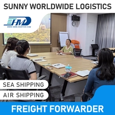 China Swwls frete aéreo logístico DDP barato e confiável da China para a República Tcheca Agente de transporte Frete Forwarder
