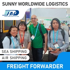 China Swwls frete aéreo logístico DDP barato e confiável da China para a Eslovênia Agente de transporte Frete Forwarder