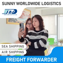 Chiny Swwls Tani transport lotniczy DDP Logistics z Chin do Chorwacji Air Express DDP Shipping Service Spedytor napastnik frachtu