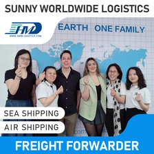 China Swwls frete aéreo logístico DDP barato e confiável da China para a Indonésia agente de transporte Frete Forwarder