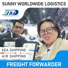 China Swwls CIF Service Air Freight Forwarder From China Shipping From China To Sweden shipping rates freight forwarder
