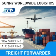 中国 Swwls DDP DDU LCL DHL UPS快递门到门海运代理货运代理中国到丹麦 货运代理