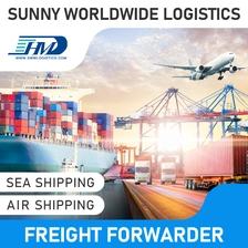 中国 Swwls DDP DDU LCL DHL UPS 快递门到门海运代理货运代理中国到捷克共和国 货运代理