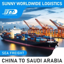 China Swwls CIF-Service-Luftfrachtspediteur aus China, Versand von China nach Saudi-Arabien, Versandkosten Frachtwächterin
