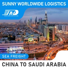中国 Swwls DDP代理快速空运门到门海运服务深圳货运代理到沙特阿拉伯 货运代理