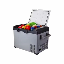 China Mini -Kühlschrank mit kleiner Kapazität Hersteller