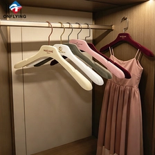 الصين High Quality Full-coverage Wedding Dress Flocking Custom Velvet Bridal Hanger Set Supplier China - COPY - idviak الصانع