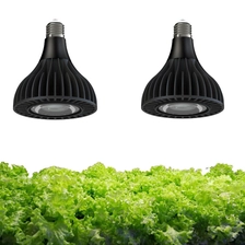 Chine Les légumes de lumière du soleil de Quantum de spectre complet ont mené le champignon PAR38 30W 36W élèvent l'ampoule fabricant