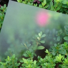 China 12mm clear tempered glass panels manufacturer