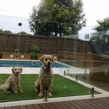 porcelana Sistema de barandas espita de vidrio sin marco de valla de la piscina fabricante
