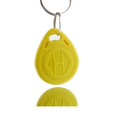 Chine Étiquette Keyfob RFID RFID 125KHz EM4100 / TK4100 pour le contrôle d'accès fabricant