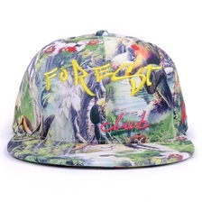 porcelana 6 panel snapback cap on sale fabricante