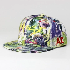 China Goedkope snapback caps, caps snapback fabrikant