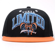 Cina Cappello Snapback personalizzato ricamato 3D a 6 pannelli tono su tono produttore