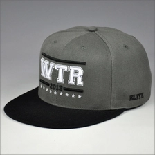 China Custom embroidered design snapback hats character manufacturer