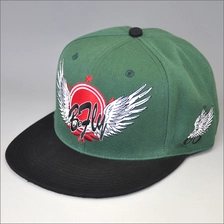 China Fashion custom snapback hat for retail manufacturer