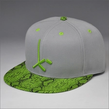 China Slangenhuid wetsvoorstel snapback hoeden groothandel fabrikant