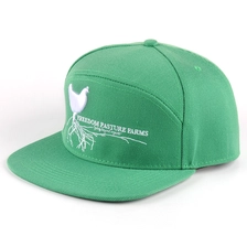 China design logo embroidery 6 panels snapback caps  wholesale manufacturer
