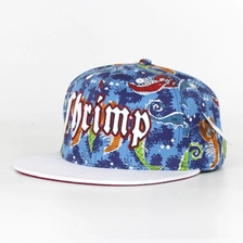 Cina Disegna il tuo Snapback Cap on line, personalizzato ricamo Snapback Cap produttore