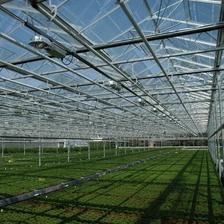 Trung Quốc Kính cường lực rõ ràng 4mm cho nhà kính, nhà kính cường lực trong suốt 4mm, bảng kính cho nhà kính nhà chế tạo