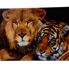 Китай Ceramic Tile for UV Printing производителя