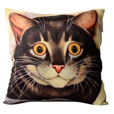 China Pillow Cover manufacturer