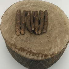 चीन 2021 new paulowia root no disease 99% survive उत्पादक