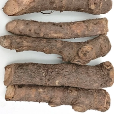चीन चीन noninvasive मजबूत बंजर प्रतिरोधी शीर्ष ग्रेड 99% उच्च अंकुरित foxglove पेड़ paulownia 9501, 9503, fortunei, elongata पौधों जीवित उत्पादक