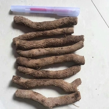 Китай Элонгата корни paulownia корни резки производителя