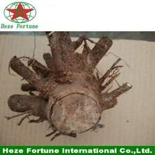 الصين الإنبات الجدعة بسرعة الصيني المعطر أنواع مختلفة الصانع