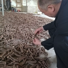 الصين نوفمبر 2017 الطازجة الجذر الصيني المعطر قطع شانتونغ الهجين 9501 مع شهادة في الصانع