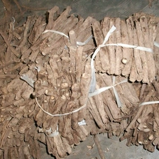 China Paulownia shan tong manufacturer