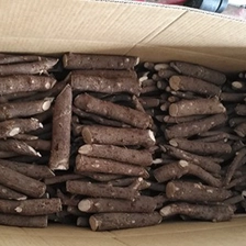 الصين خفض حجم الدهون paulownia الشباب الشتلات الجذرية الباردة مقاومة الصانع