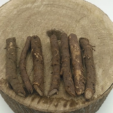 चीन paulownia seeds and roots for sale उत्पादक
