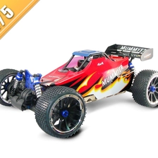 China 1/5 Skala 26cc gasbetriebenen Gelände Buggy TPGB-0551 Hersteller