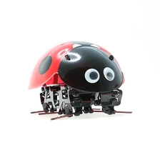 Chine 2.4 g robot coccinelle DIY        F10 fabricant